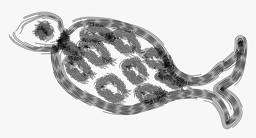 Illustration, HD Png Download