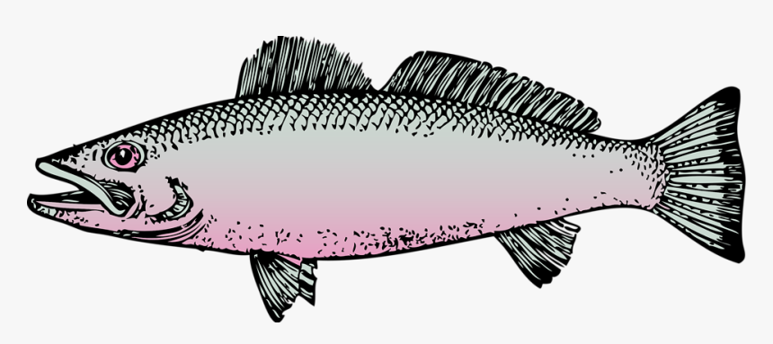 Clipart Cute Borders Vectors - Fish Clip Art, HD Png Download