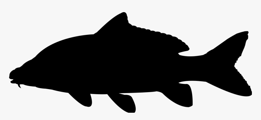 Silhouette Clip Art Vector Graphics Illustration Silhouette Bass