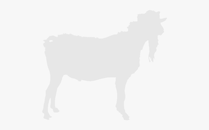 Nl/abc/upload/bokfoto1 Nopicture - Horse, HD Png Download