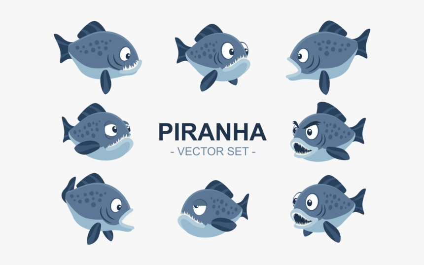 Coral Reef Fish, HD Png Download