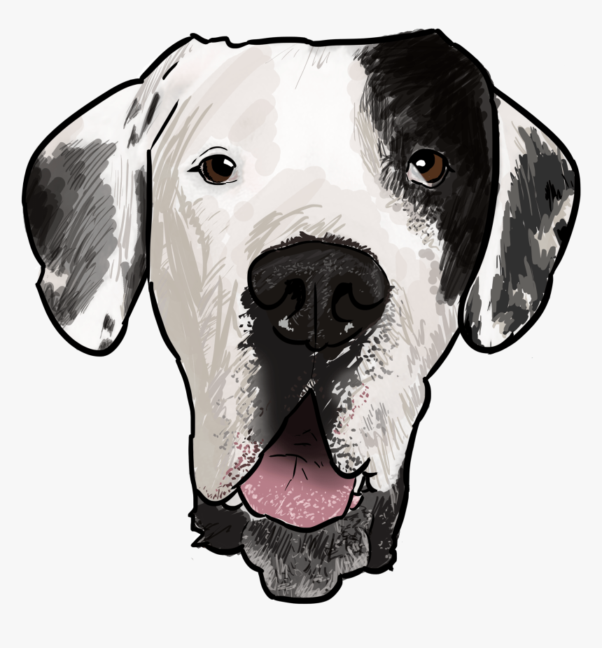 Dog Great Dane Drawings Looking At You, HD Png Download