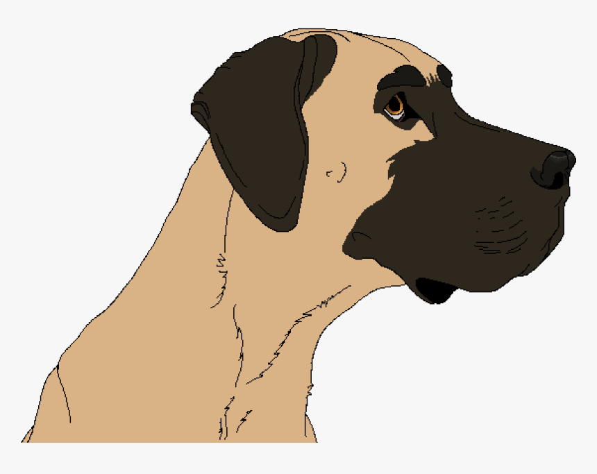 Great Dane Png, Transparent Png