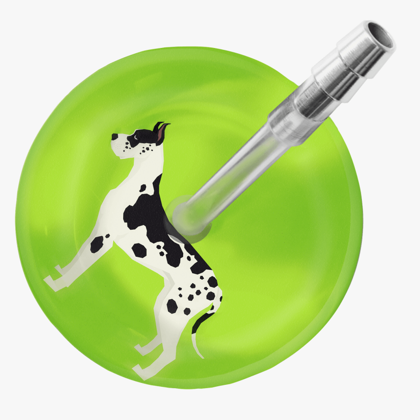 Great Dane Stethoscope 
 Class - Dalmatian, HD Png Download