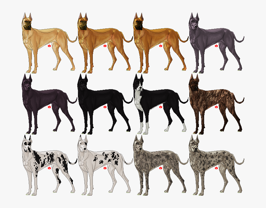 Doberman Happy Transparent, HD Png Download