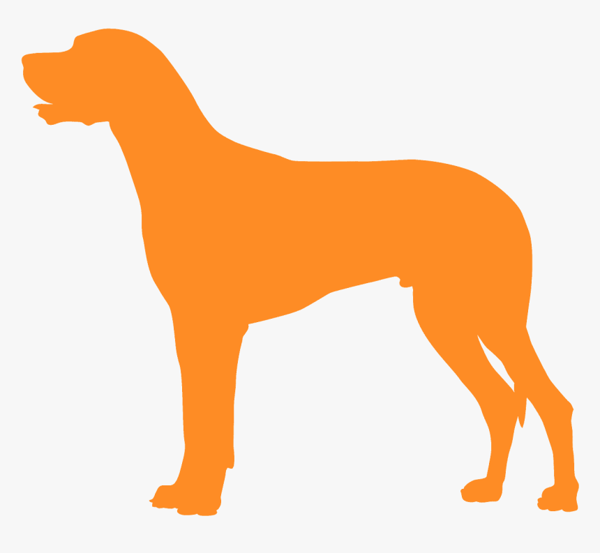 Hunting Dog, HD Png Download