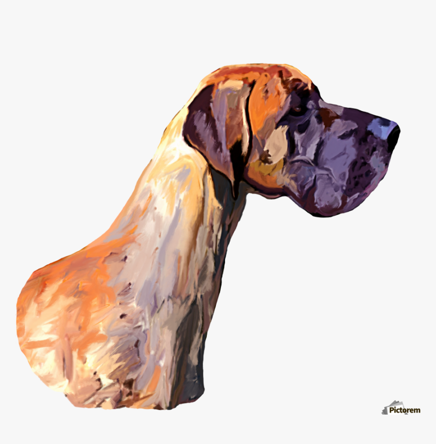 Great Dane Print - Great Dane, HD Png Download