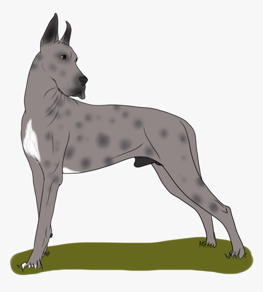 Great Dane Dog Breed Non-sporting Group - Old English Terrier, HD Png Download