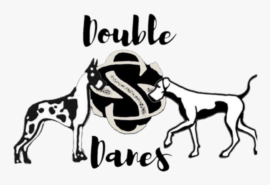 Double S Danes - Ancient Dog Breeds, HD Png Download