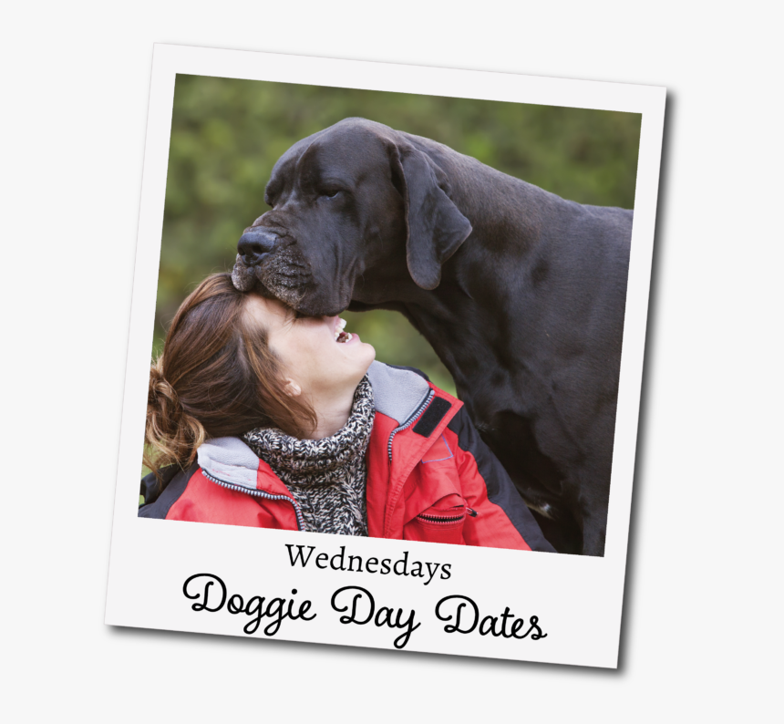 Black Dog And Girl, HD Png Download