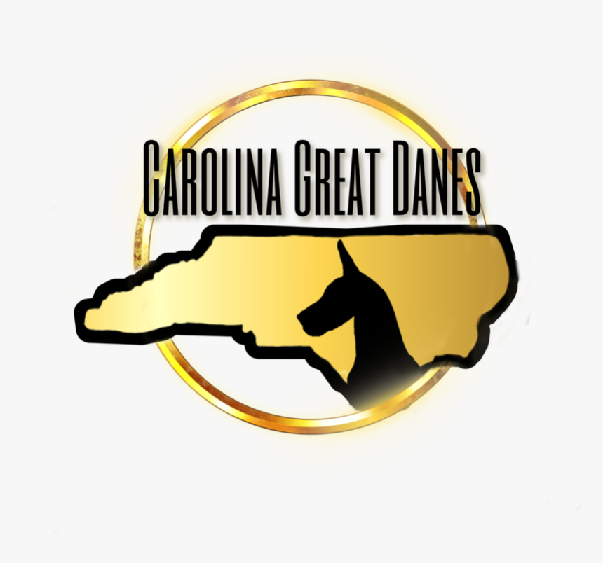 Picture, HD Png Download