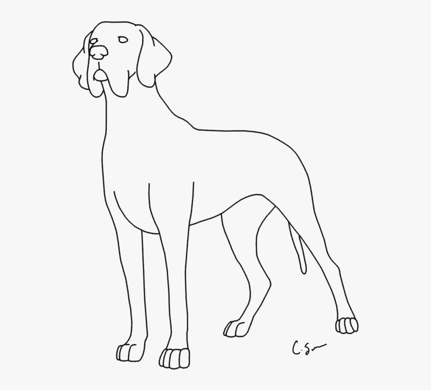 Coloring Pages For Kids And For Adults - Coloring Pictures Of Great Dane, HD Png Download