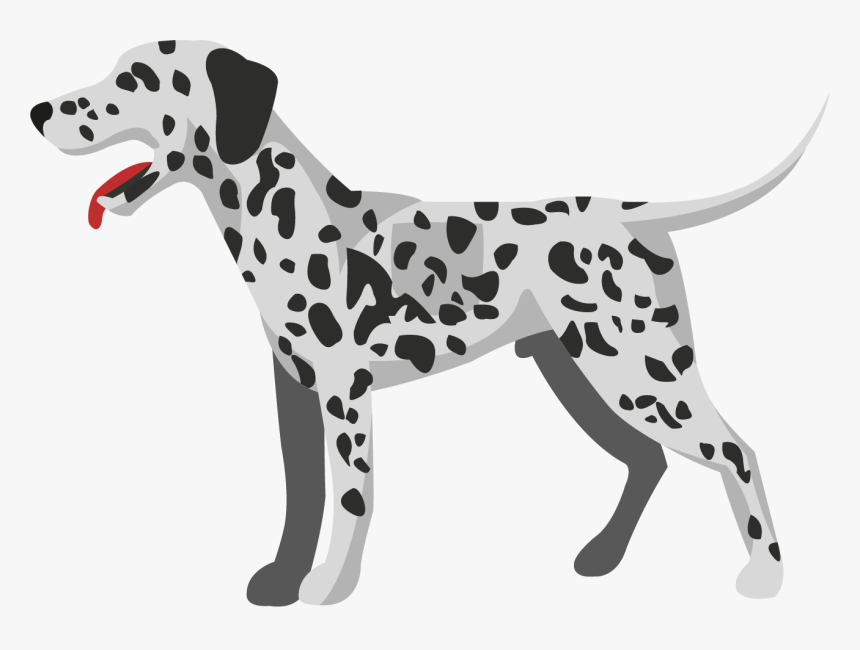 Dalmatian, HD Png Download