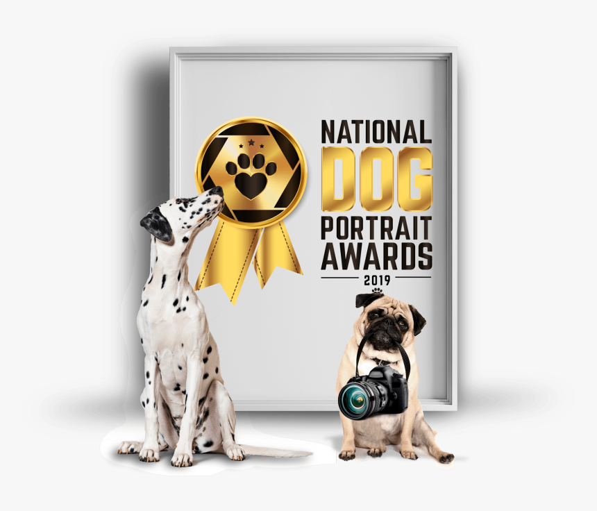 Dalmatian, HD Png Download