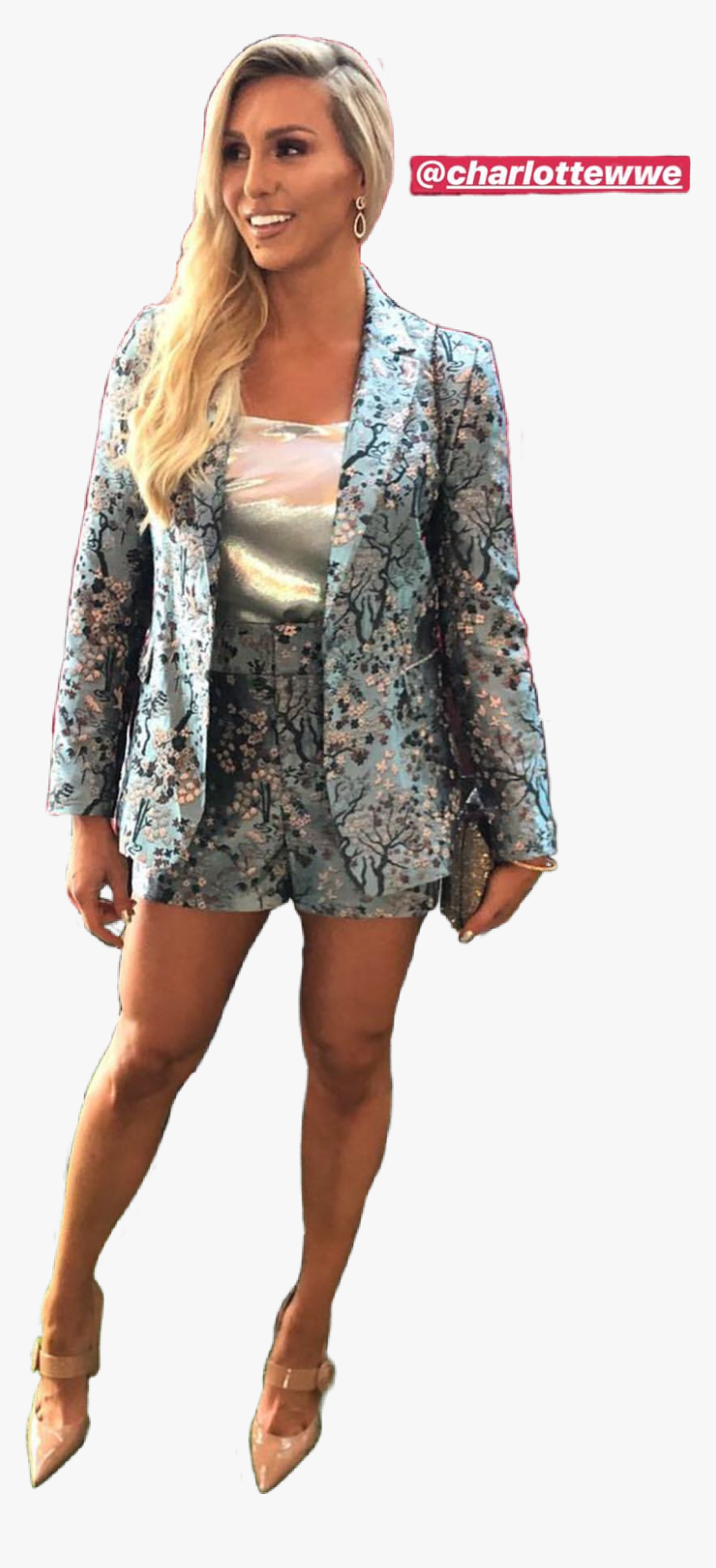 #charlotte #charlottewwe #wwecharlotte #charlotteflair - Formal Wear, HD Png Download