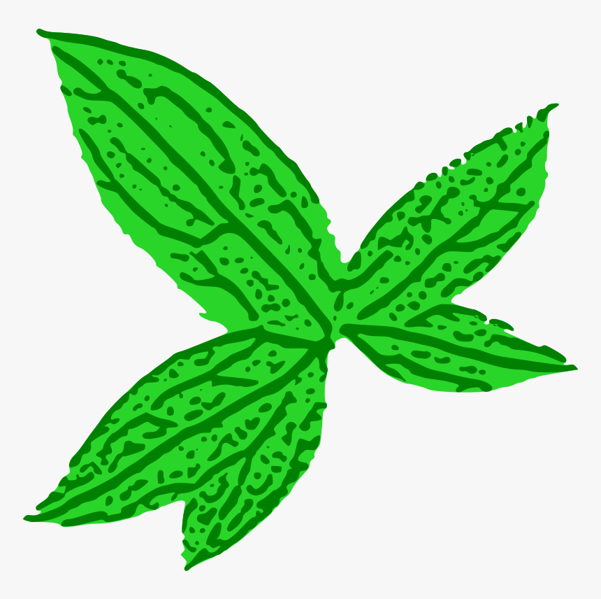 Green Leaf - Green Leaf Clip Art, HD Png Download