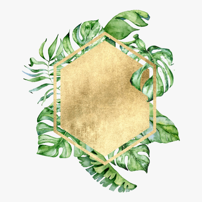 #freetoedit #overlay #watercolor #colorful #summer - Summer Leaf Borders Colorful, HD Png Download