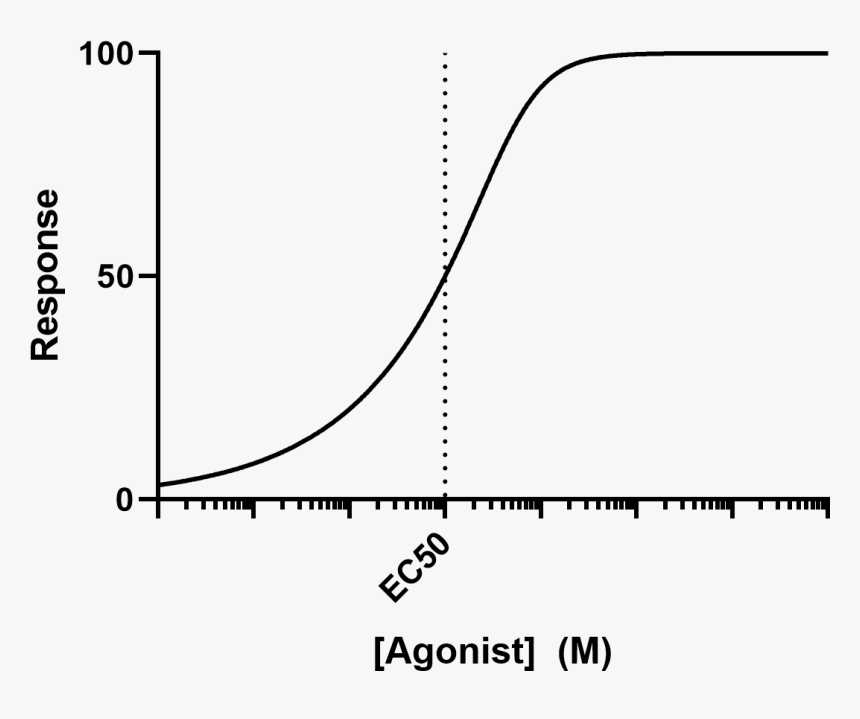 Diagram, HD Png Download