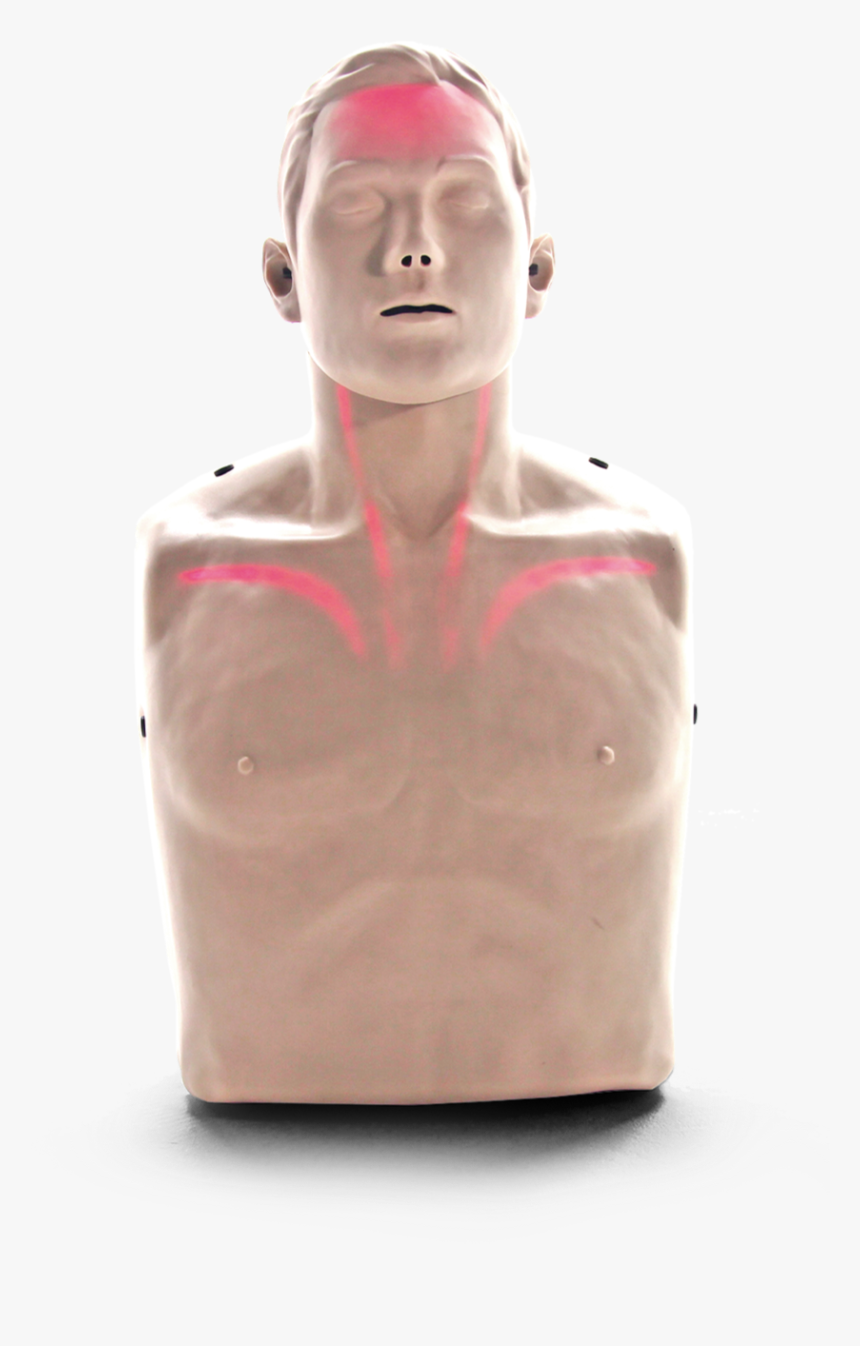 Bigred™ Lightsaving Manikin - Big Red American Red Cross, HD Png Download