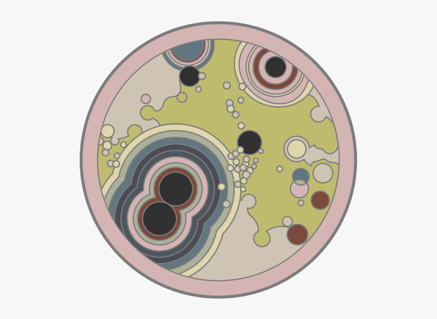 Circle, HD Png Download