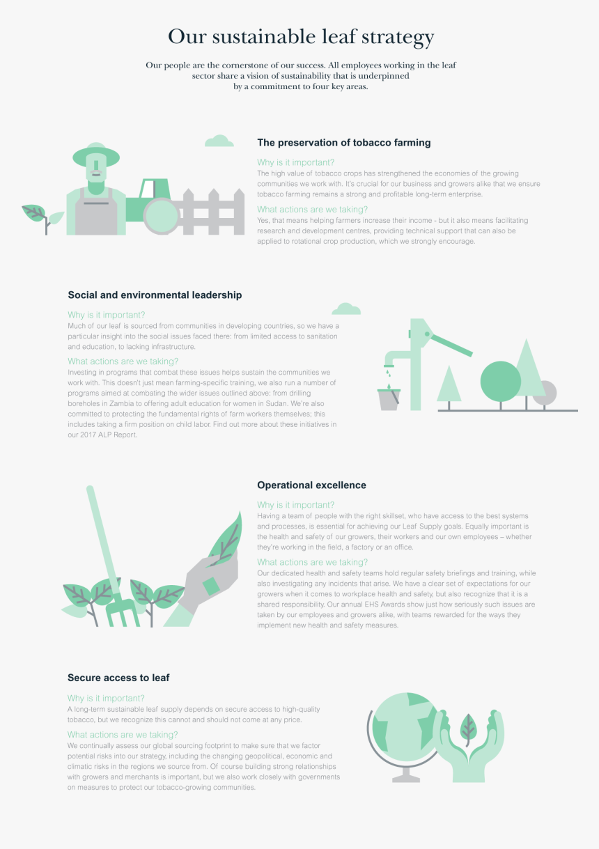 Our Sustainable Leaf Strategy - Parallel, HD Png Download