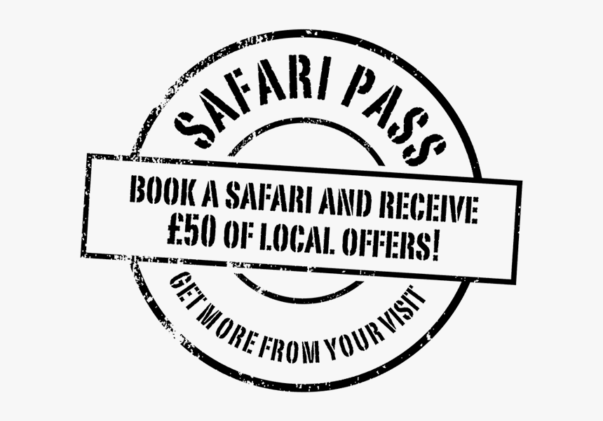 Postage Stamps Rubber Stamp Label Radar Detector Logo Circle, HD Png