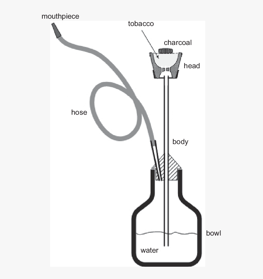 Clip Art, HD Png Download