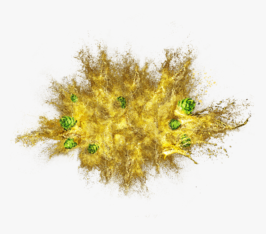 Mimosa, HD Png Download