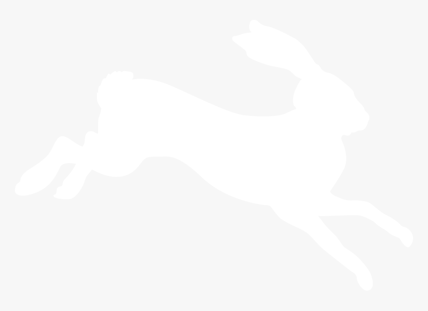 Johns Hopkins Logo White, HD Png Download