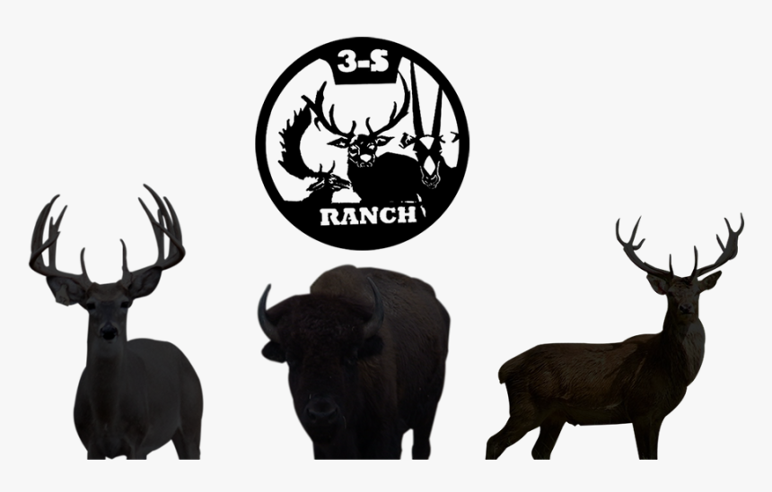 3s Ranch - Black And White Deer Herd, HD Png Download