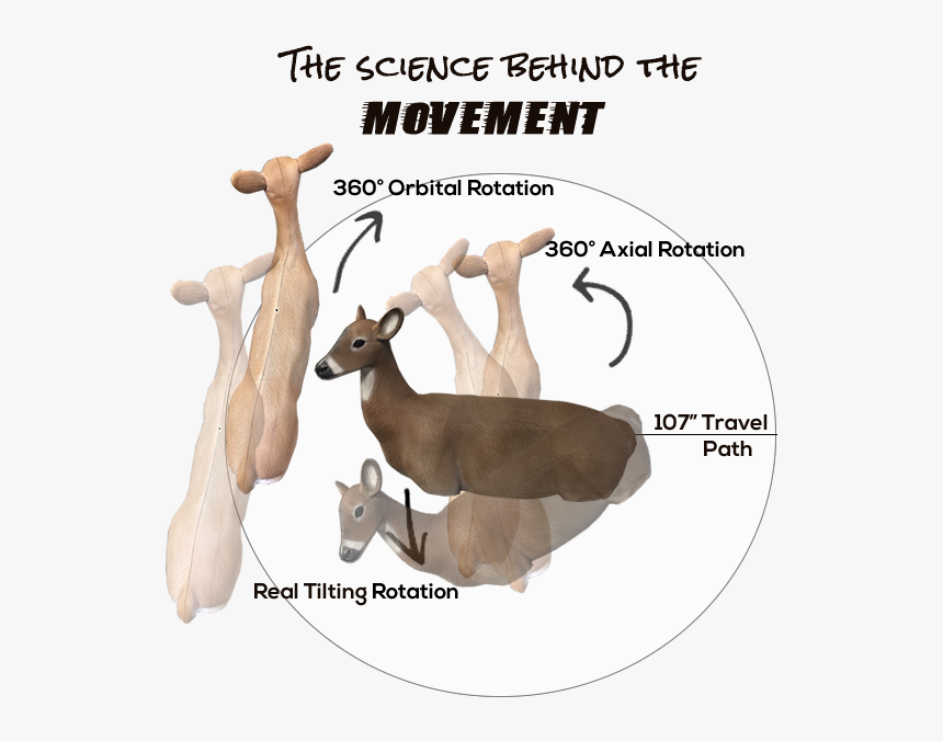 Atomdeer - Deer, HD Png Download