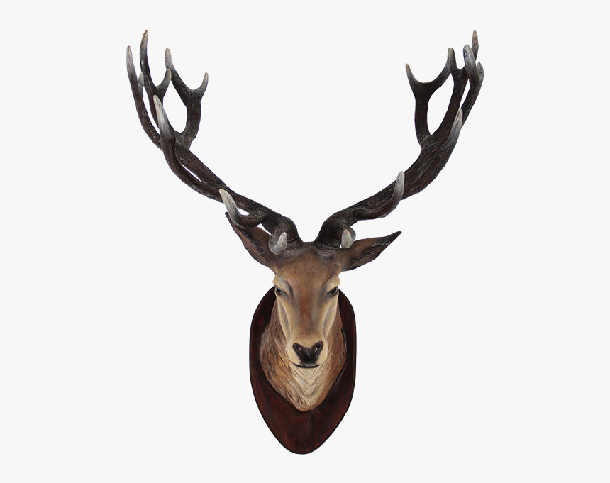 Deer Head Transparent Png - Deer Head Png, Png Download