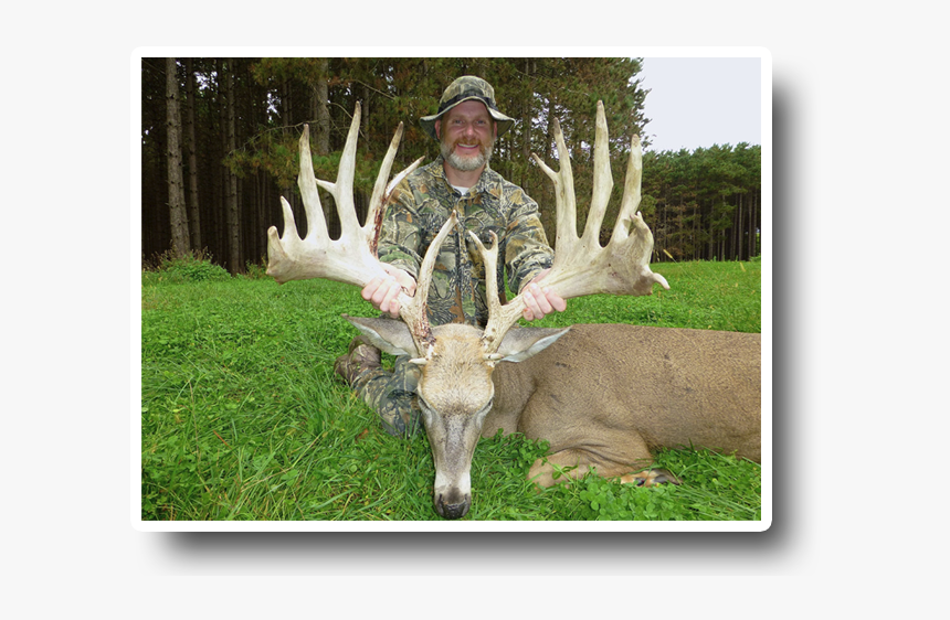 Wilderness Whitetail Hunter - 2017 Monster Bucks, HD Png Download