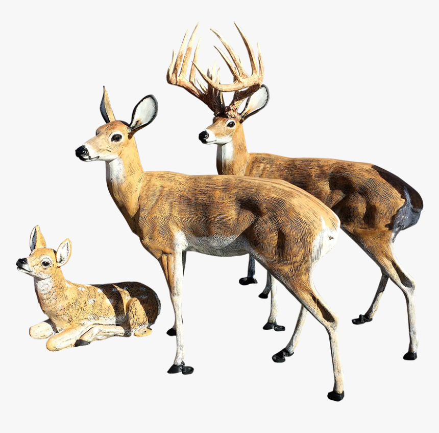 Deer Statues Outdoor Decoration For Your Yard For Sale - Deer Statues For Yard, HD Png Download