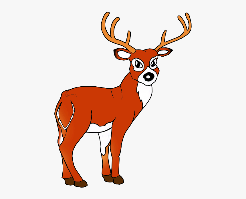 White Tailed Deer - Clipart Elk, HD Png Download