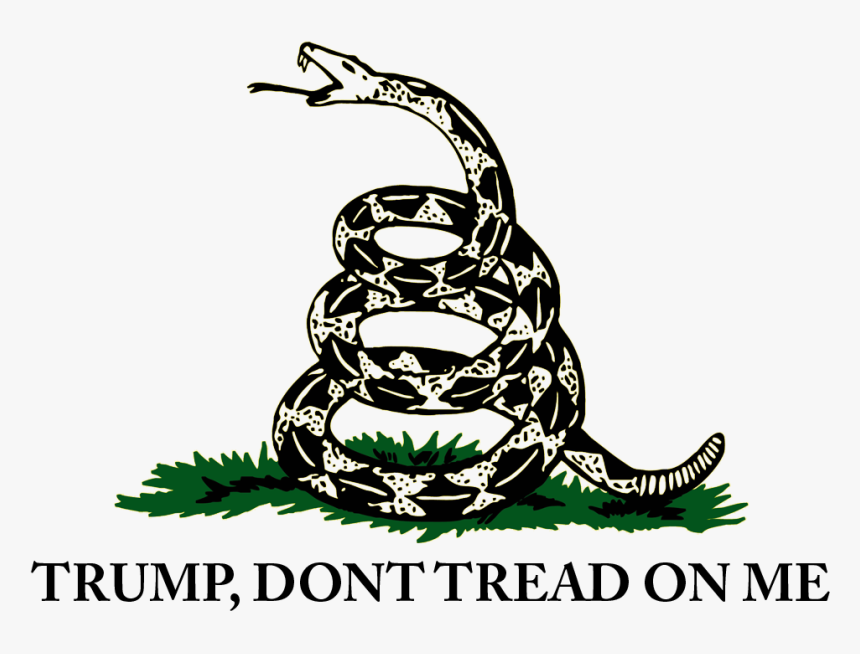 Don T Grab My Pussy , Png Download - Dont Tread On Me Vector, Transparent Png