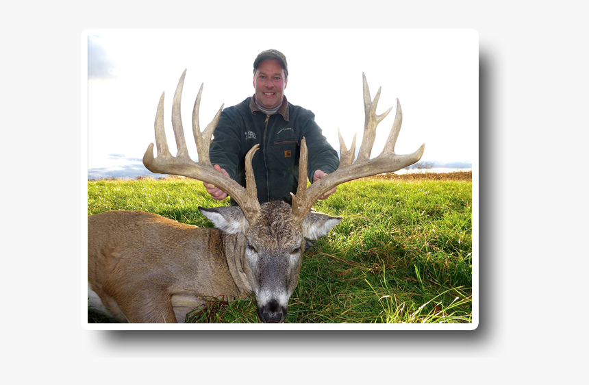 Image Is Not Available - Elk, HD Png Download