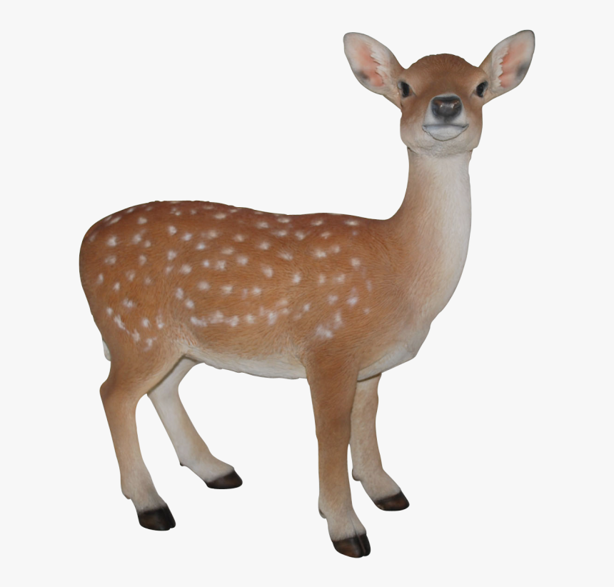 Figure,terrestrial Animal,fawn,white-tailed Deer,roe - Baby Deer Images Hd, HD Png Download