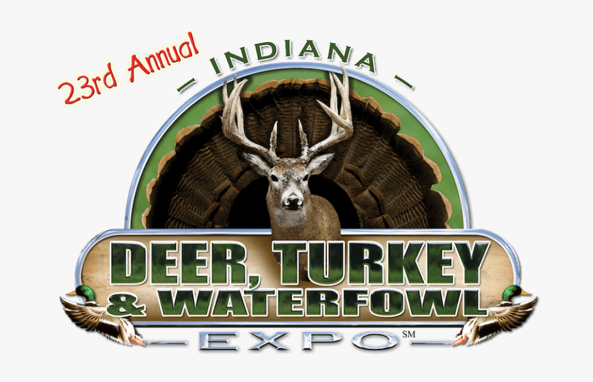 Elk, HD Png Download