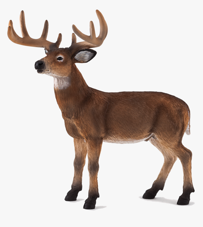 White Tailed Deer Mojo, HD Png Download