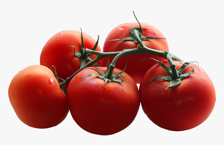 Tomatoes Branch Png Picture - Tomato Png Transparent Background, Png Download