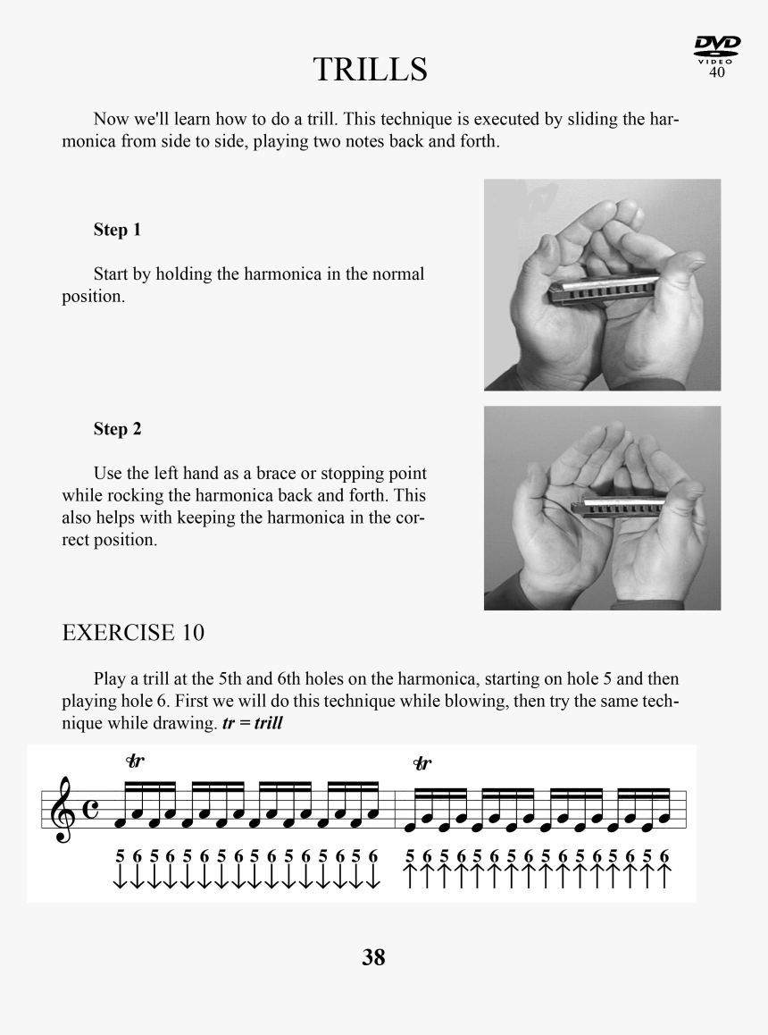 Technique Harmonica, HD Png Download
