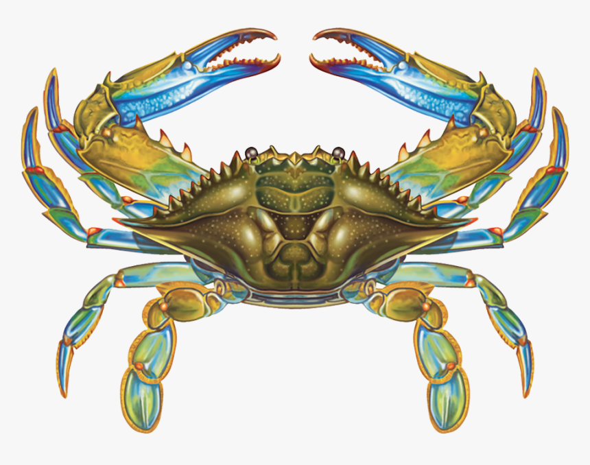 Crab - Crab Symmetry, HD Png Download
