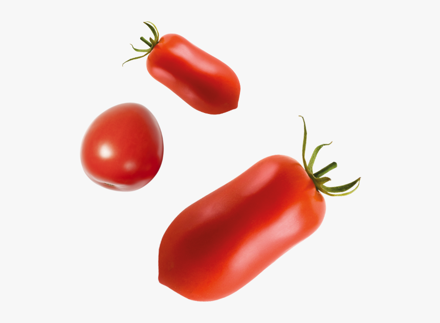 Tomatoe Png, Transparent Png