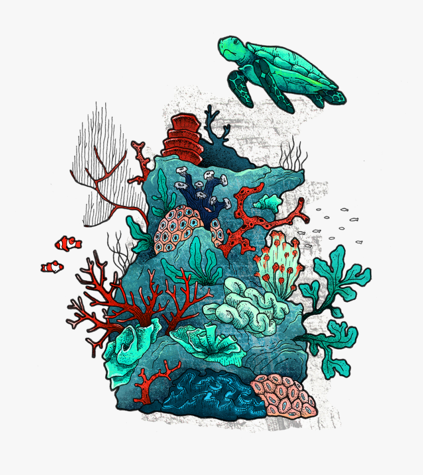 Life, HD Png Download