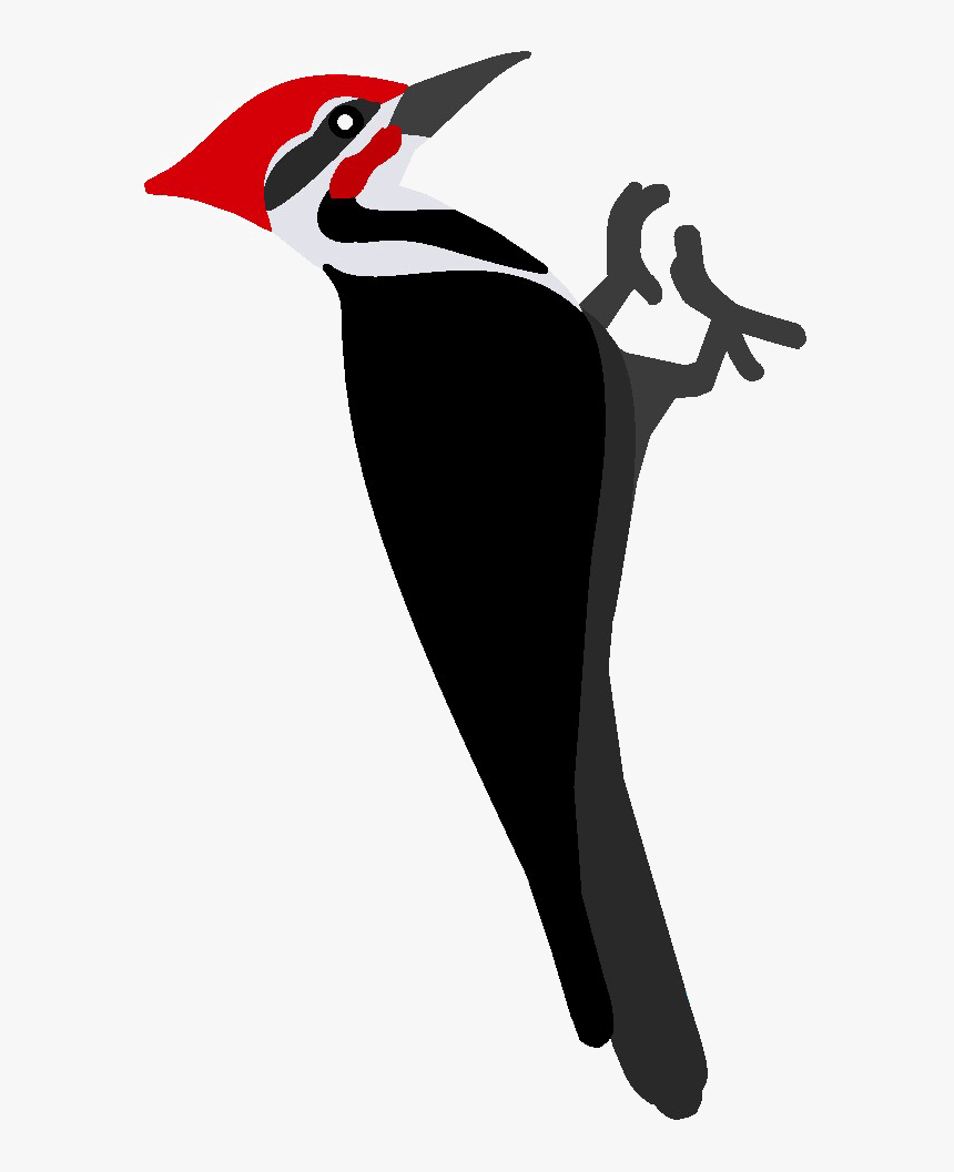 Woodpecker Png - Woodpecker Clipart Png, Transparent Png