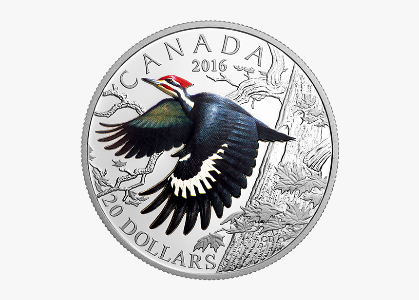 Pileated Woodpecker Coin, HD Png Download
