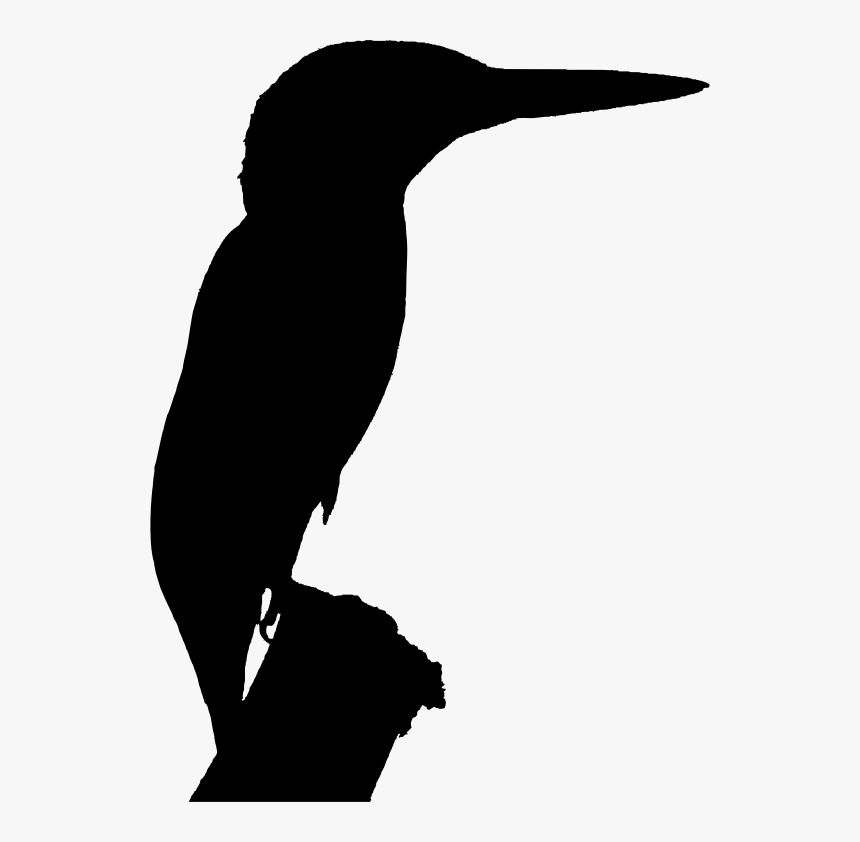 Clipart - Kingfisher Bird Silhouette, HD Png Download