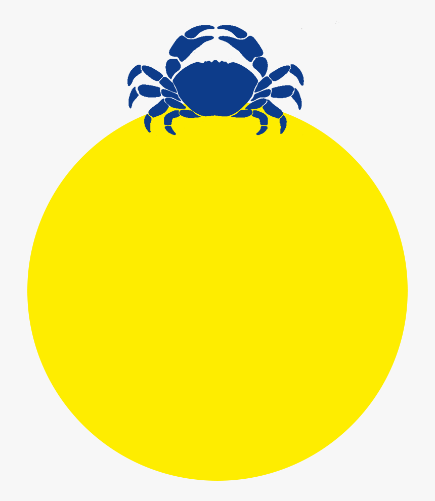 Circle, HD Png Download