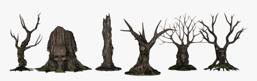 Creepy Trees, HD Png Download